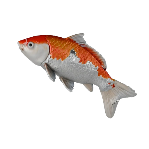 Реалистичная 3D модель рыбы кои - rigged PBR ассет для игр | PBR