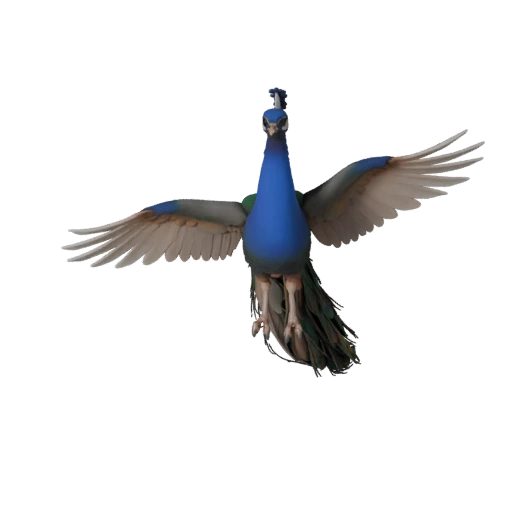 3D модель павлина для Blender - PBR ресурс с текстурами | PBR