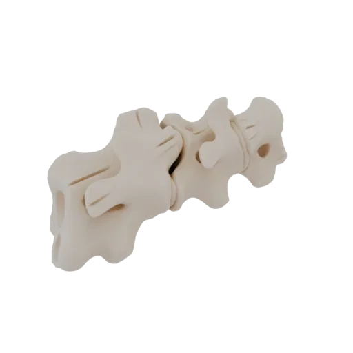 3D модель сегмента поясничных позвонков, показывающая детализированную структуру кости с гладкой светло-бежевой отделкой.