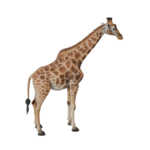 3D модель жирафа для Unity - Готовый игровой ресурс, FBX | Бесплатно