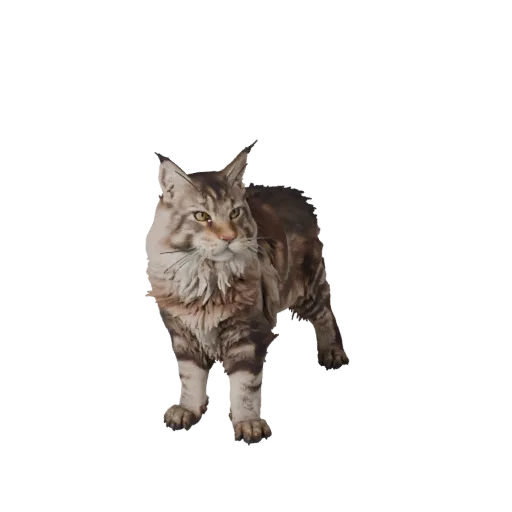 Реалистичная 3D-модель Мейн-куна, вид сбоку, готовый к анимации ассет животного с четкой анатомией, естественной массой тела,