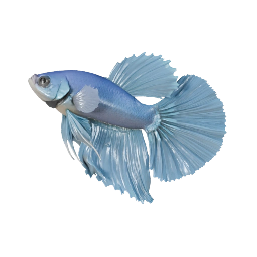 Мультяшный петушок 3D модель - Стилизованный ассет для анимации