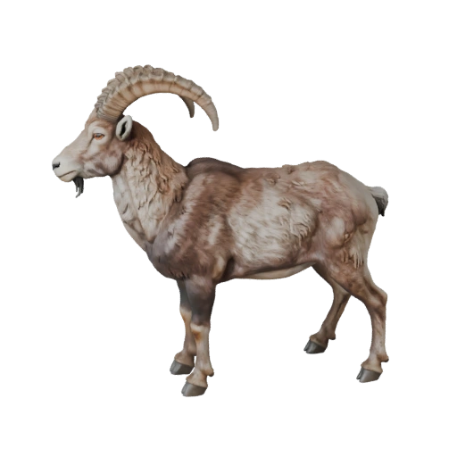 Реалистичный горный козел 3D модель - rigged PBR ассет для игр | Royalty-Free