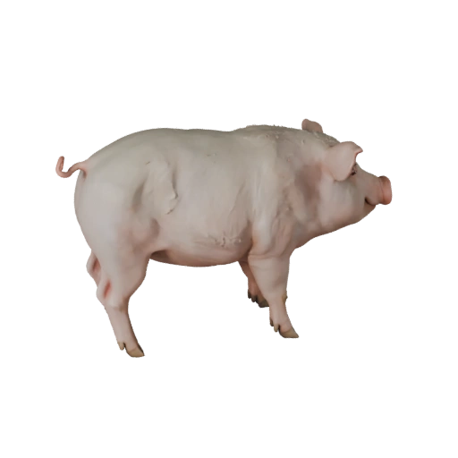 3D модель свиньи для Blender - PBR ассет с текстурами | Бесплатно