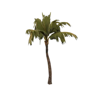 3D модель увядшей пальмы с поникшими листьями и текстурированным стволом на белом фоне.