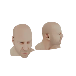 3D рендер бюста лысой мужской головы, показанный спереди снизу и в профиль.