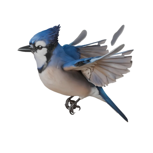 Реалистичная 3D модель голубой сойки - rigged PBR ассет для игр | PBR
