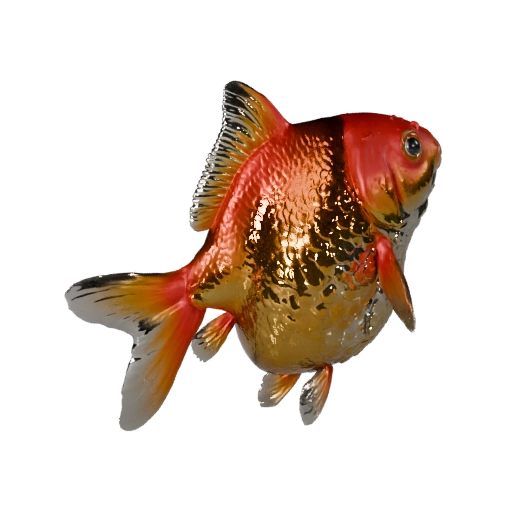 Реалистичная 3D модель золотой рыбки - rigged PBR ассет для игр | PBR