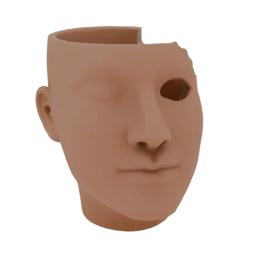 3D модель кашпо в форме головы с неровным разломом вместо лба и части глаза, выполненная в реалистичном стиле.