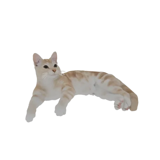 3D модель рыжего полосатого кота лежащего, с оранжевыми полосами и расслабленным выражением.