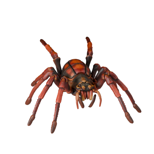 3D модель тарантула для Blender - PBR ресурс с текстурами | PBR