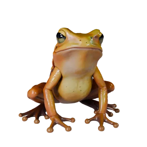 3D модель лягушки-древолаза, вид сбоку, рендер дикой природы, готовый для Blender ассет животного с линией рта, артикуляцией