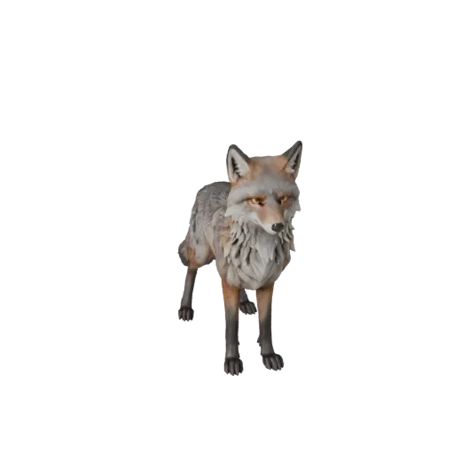 3D модель серой лисы, рендер дикой природы в профиль, готовый для Blender ассет животного с направлением шерсти, объемом груд