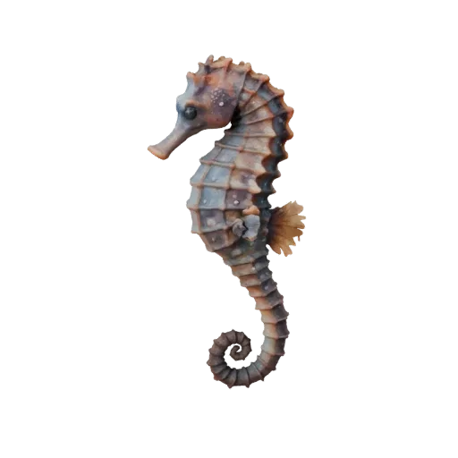 Реалистичная 3D модель морского конька, вид сбоку, рендер дикой природы, готовый к анимации ассет животного с изгибом шеи, кр