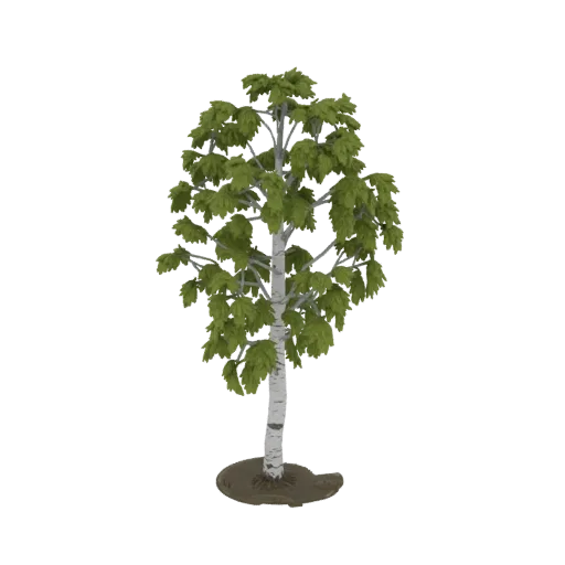 Реалистичная 3D модель березы с белым стволом, серыми ветвями и зелеными листьями, стоящая на коричневом основании.