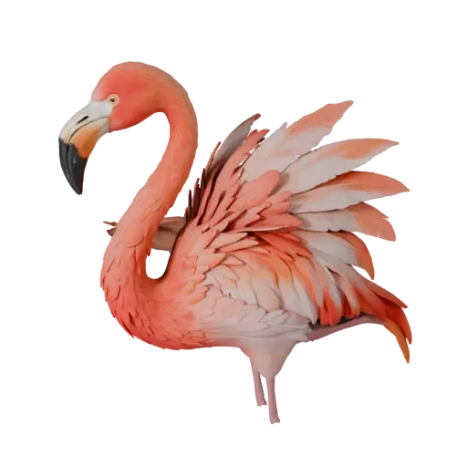 3D модель фламинго, вид сбоку, рендер дикой природы, готовый для Blender ассет животного с направлением перьев, логикой склад