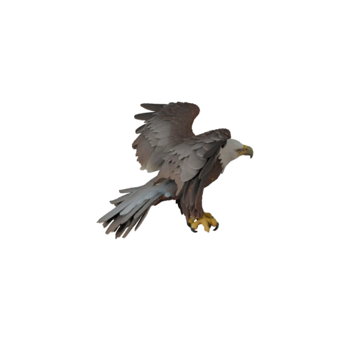 Высокополигональная 3D модель белоголового орлана - Детальный STL ресурс для печати