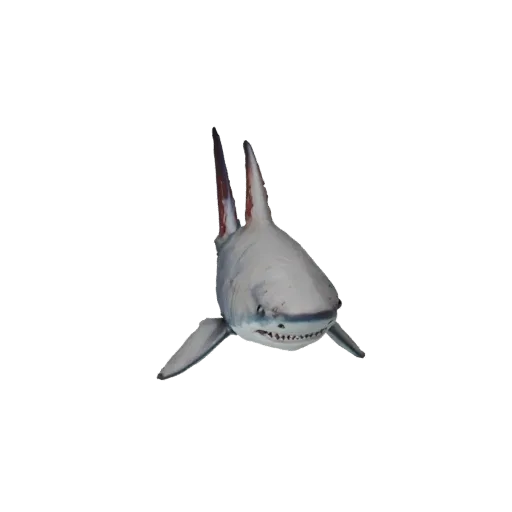 3D модель акулы-молота, вид сбоку игровой камеры, готовый для Unity ассет животного с реакцией кожи под водой, толщиной плавн