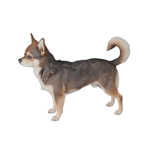 3D модель чихуахуа собаки для Unity - Готовый игровой ресурс, FBX | PBR