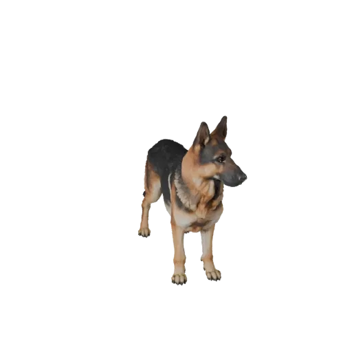 Реалистичная 3D-модель немецкой овчарки, рендер дикой природы сбоку, готовый к анимации ассет животного с ритмом ног, объемом