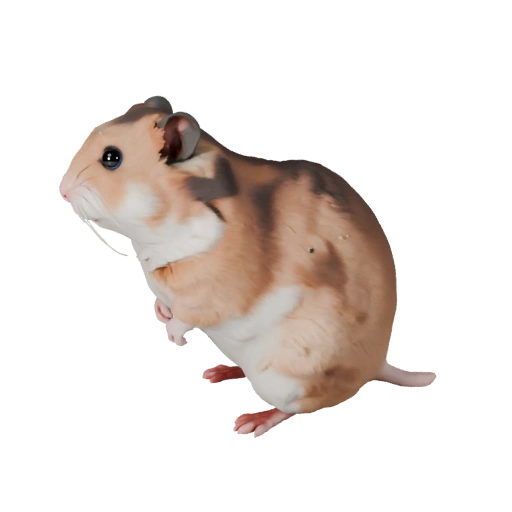 3D модель хомяка для Blender - PBR ресурс с текстурами | PBR