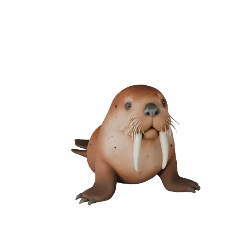3D модель моржа, вид сбоку игровой камерой, готовый для Unity ассет животного с детализацией поверхности, ритмом тела, формам