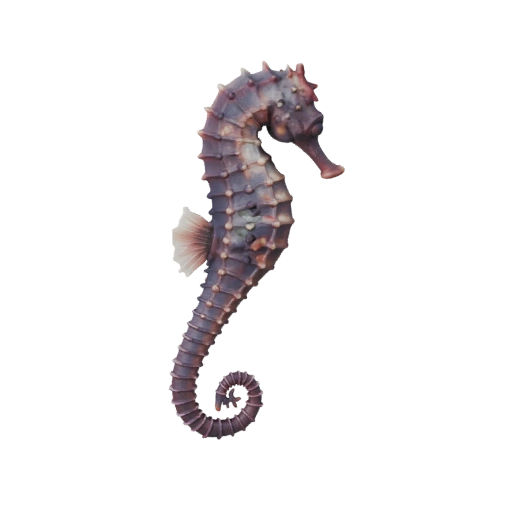 Морской конек 3D модель для Blender - PBR ресурс с текстурами | PBR