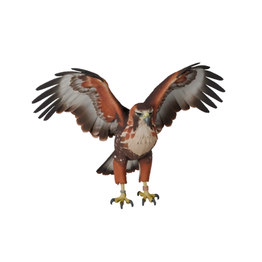 3D модель краснохвостого канюка для Unity - Готовый игровой ассет, FBX