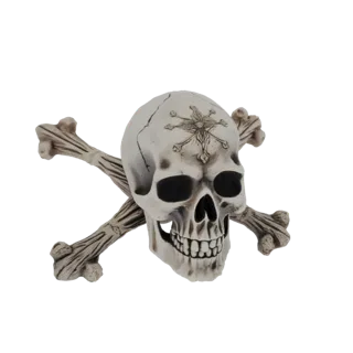 3D model of a white skull with black eye sockets, a cracked forehead with a star-like emblem, and two crossed bones behind it