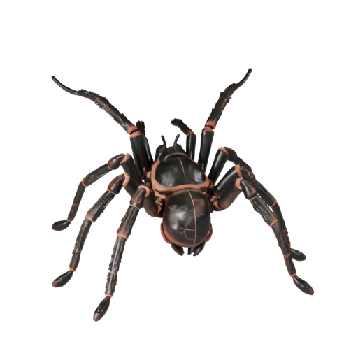 Реалистичный 3D модель тарантула - rigged PBR ассет для игр | PBR