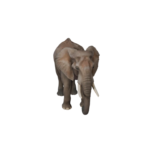 Реалистичный африканский слон 3D модель - rigged PBR ассет для игр