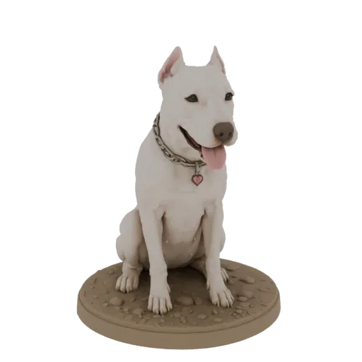 3D модель белого Аргентинского дога, сидящего на подставке с текстурой камня, в ошейнике с кулоном-сердечком.