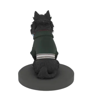 3D модель черной собаки в зеленом свитере, вид сзади, сидящая на сером круглом основании.