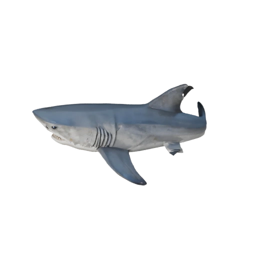 Низкополигональная 3D модель акулы-молота - игровой ресурс Unity с FBX