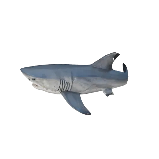 Низкополигональная 3D-модель акулы-молот, вид сбоку игровой камеры, низкополигональный ассет животного с детализацией поверхн