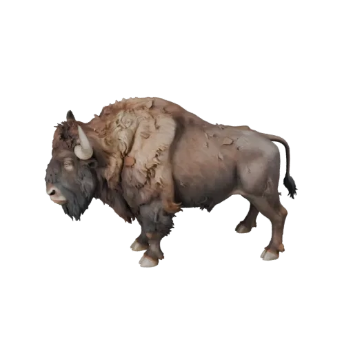 3D модель бизона, рендер дикого животного сбоку, готовый для Blender ассет животного с направлением шерсти, формами основания