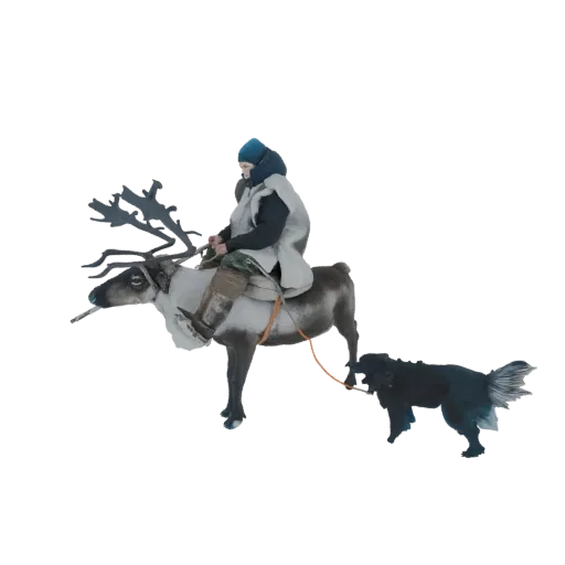 3D модель человека на северном олене, с собакой впереди, тянущей сани, на белом фоне.