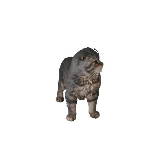 3D-модель шотландской вислоухой кошки, рендер животного сбоку, готовый к работе в Blender ассет животного с балансом позы, ан
