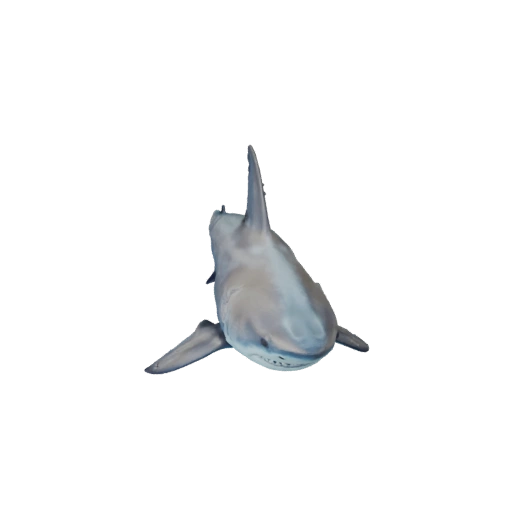 Реалистичная 3D модель акулы - rigged PBR ассет для игр | Бесплатно