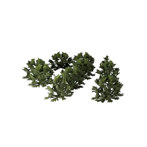 3D модель набора низкорослых кустов Unity, изометрический вид, показывающий листовые скопления, слоистые скопления растительн