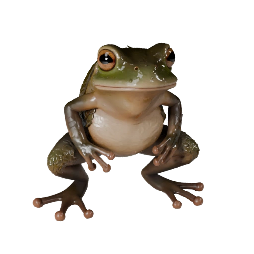 Древесная лягушка 3D модель для Unity - Готовый игровой ассет, FBX | Бесплатно