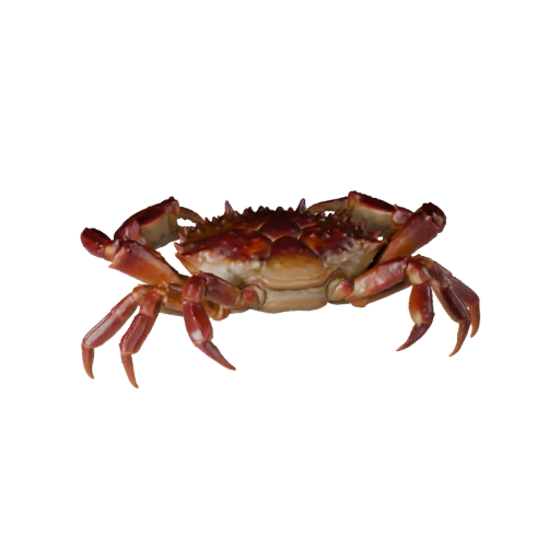 Реалистичный краб 3D модель - rigged PBR ассет для игр | Royalty-Free