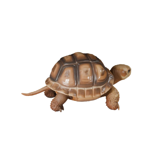 Мультяшная пустынная черепаха 3D модель - Стилизованный ассет для анимации
