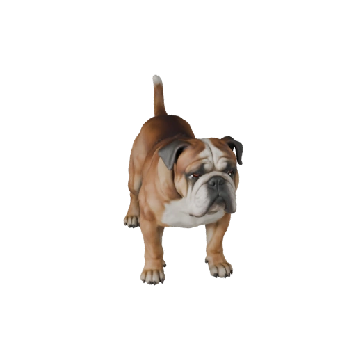 3D модель бульдога для Unity - Готовый игровой ассет, FBX | PBR