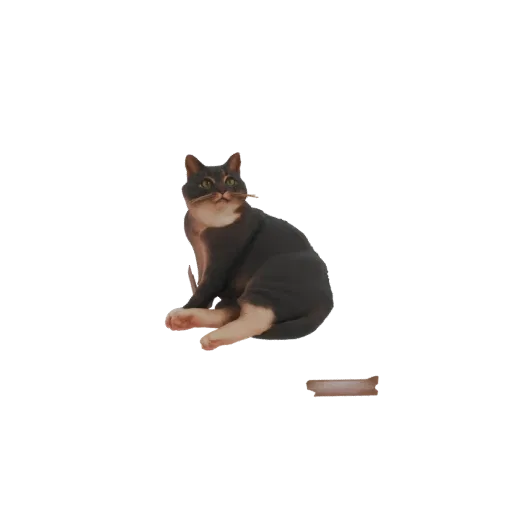 3D модель черно-белого кота-смокинга, сидящего прямо, с хвостом, обернутым вокруг тела, смотрящего в сторону.
