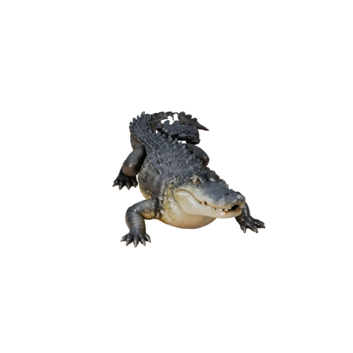 3D модель аллигатора для Unity - Готовый игровой ассет, FBX | Бесплатно