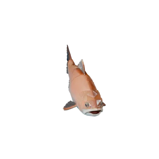 Низкополигональная 3D модель лосося, вид сбоку игровой камеры, низкополигональная модель животного с реакцией подводной кожи,