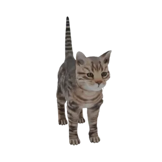 3D-модель стоящего полосатого кота с поднятым хвостом, смотрящего вперед желтыми глазами.