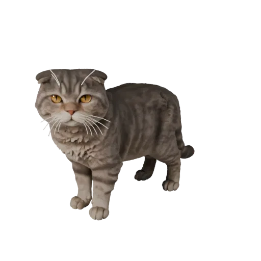 Реалистичная 3D модель шотландского фолда, вид сбоку, рендер дикой природы, готовый к анимации ассет животного с балансом поз