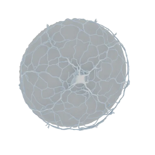 3D render of an abstract sphere with a light blue, intricate, branching neural network pattern against a white background.